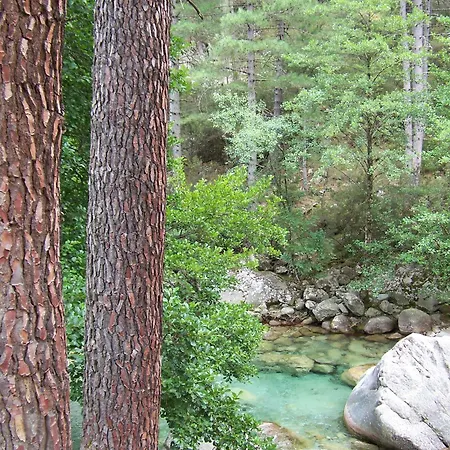 Vanina Park Corte (Corsica)