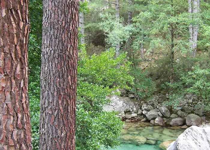 Vanina Park Corte (Corsica)